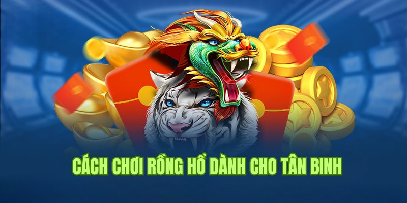 Khuyến mãi siêu lớn, đặc sắc khi tham gia rồng hổ tại nhà cái Sumvip