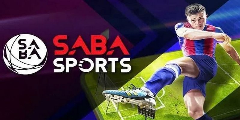 Tối ưu hóa cơ hội gia tăng lợi nhuận khi tham gia cá cược